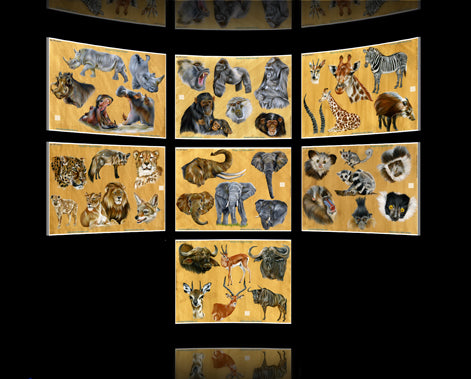 African Wildlife Set