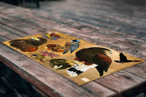 Portraits of Birds Set