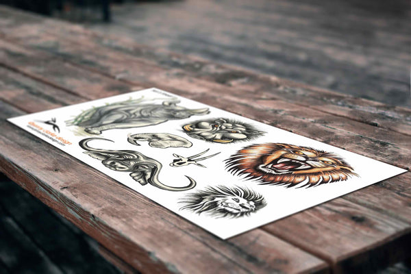 Animals
