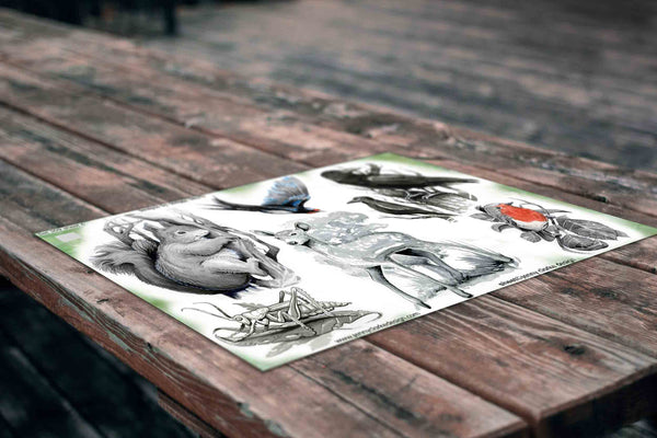 Woodland Creatures Set